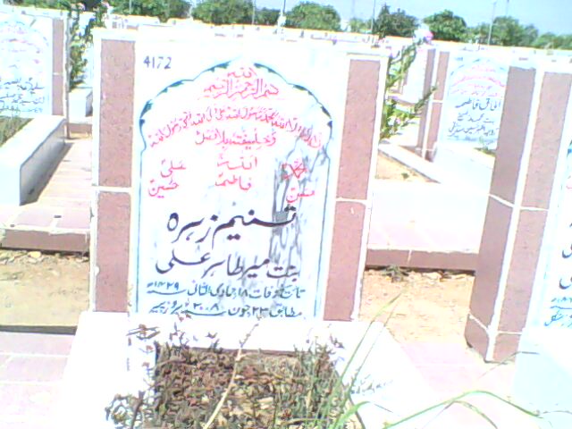 4172 – Tasneem Zehra