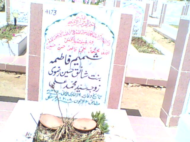 4173 – Shamim Fatima