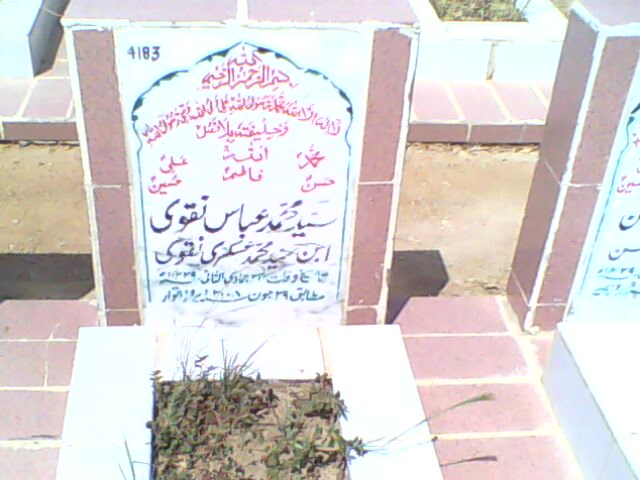 4183 – Syed Mohammad Abbas Naqvi
