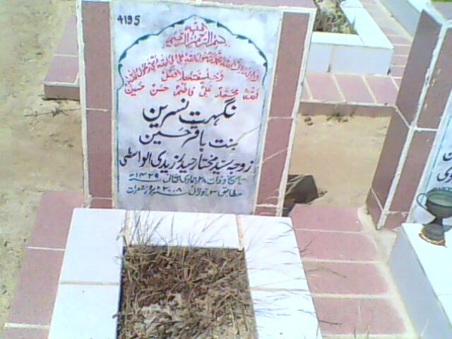 4195 – Nighut Nasreen