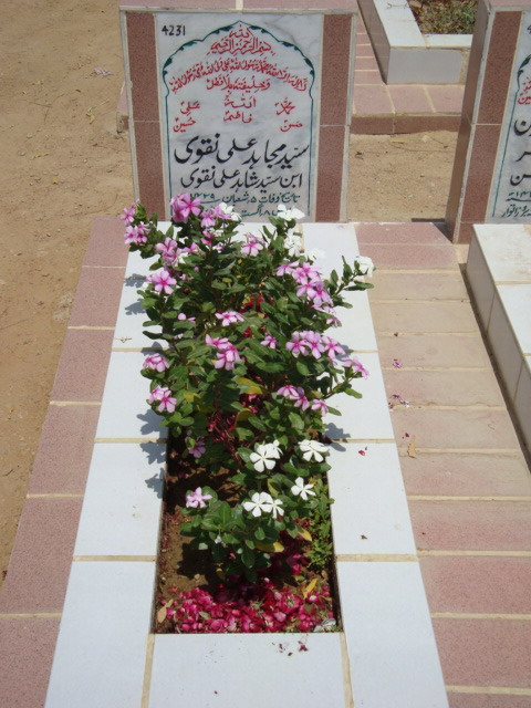 4231 – Syed Mujahid Ali Naqvi