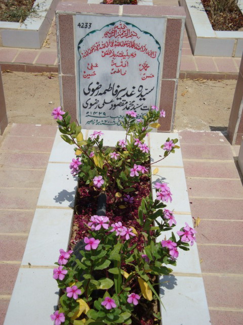 4233 – Syeda Ghadeer Fatima Rizvi