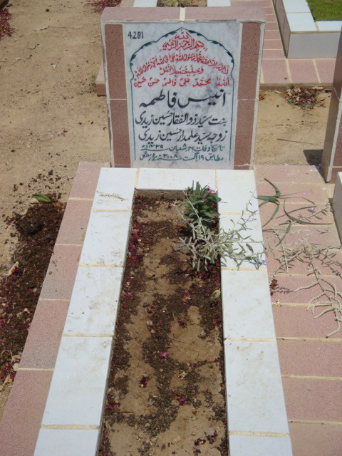 4281 – Anees Fatima