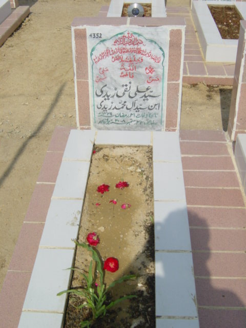 4352 – syed ali naqi zaidi