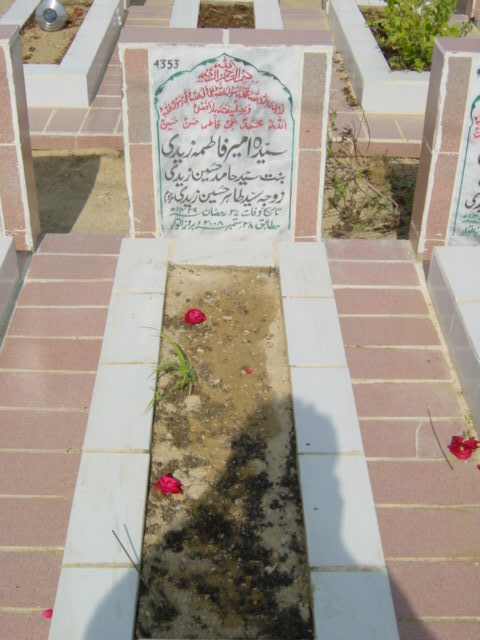 4353 – syeda ameer fatima zaidi