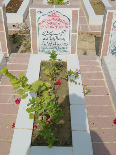 4354 – aneesa parveen