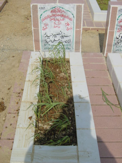 4357 – syed naseem haider