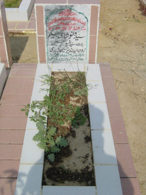 4361 – syeda noushahi begum