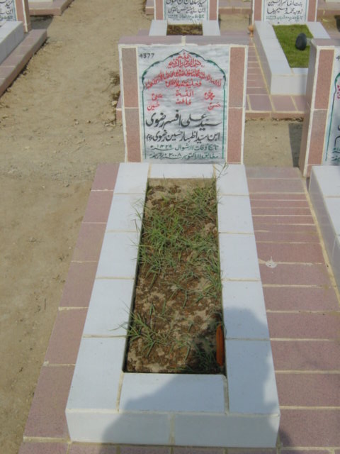 4377 – syed ali afsar rizvi