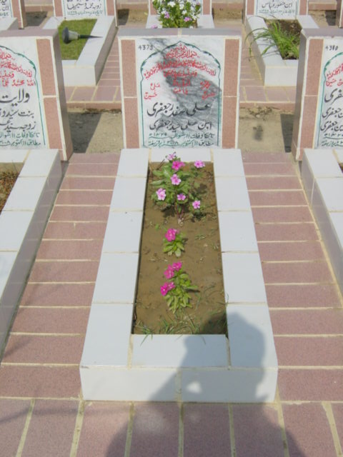 4379 – Ali safdar jafri