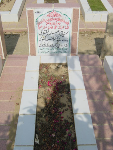 4390 – syeda umme salma naqvi