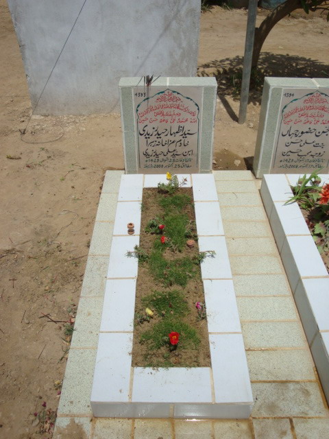 4393 – Syed Izhar Haider Zaidi