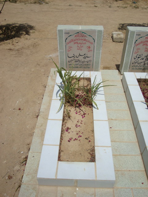 4403 – Syed Ali Raza