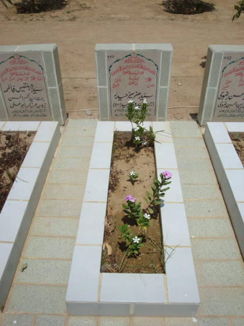 4411 – Syed Aziz Haider