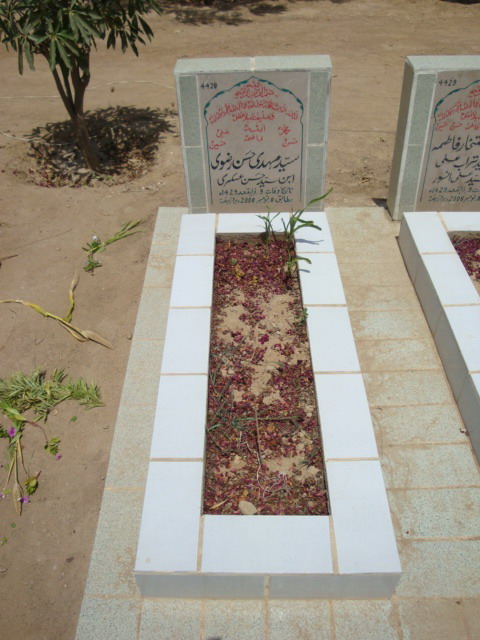 4428 – Syed Mehdi Hasan Rizvi