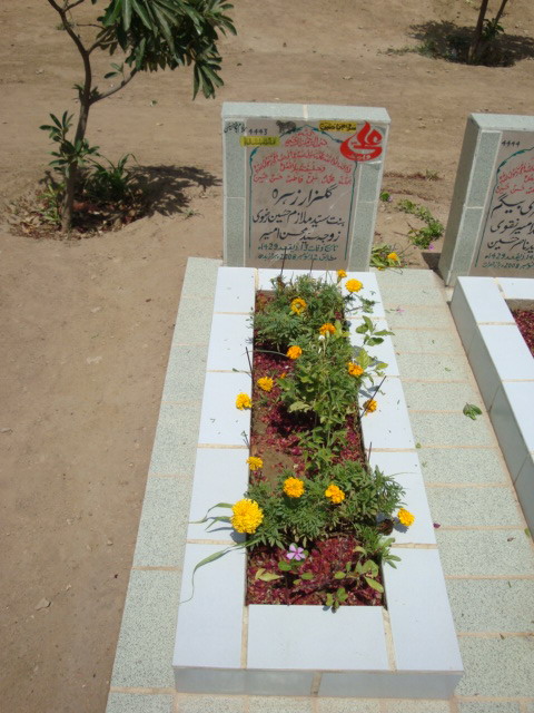 4443 – Gulzar Zehra