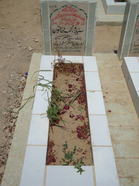 4475 – Syed Zia Hassan Naqvi