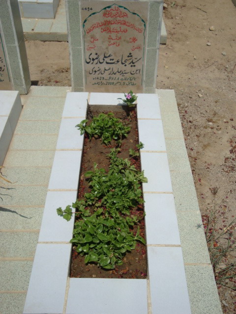 4494 – Syed Shujahat Ali Rizvi