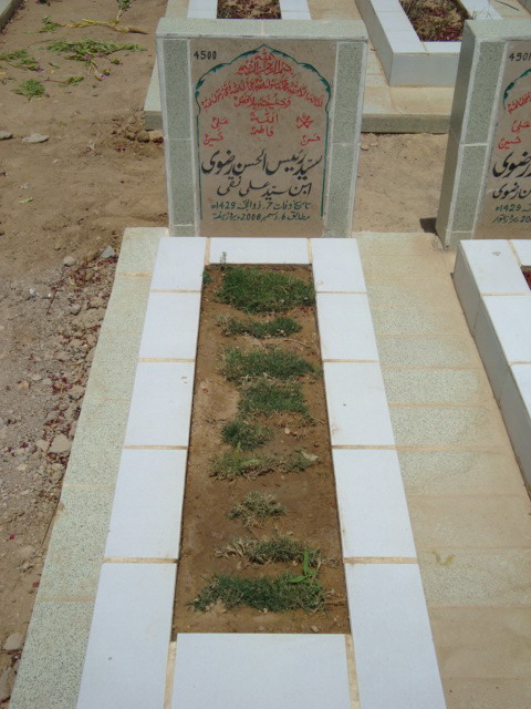 4500 – Syed Raees ul Hasan Rizvi