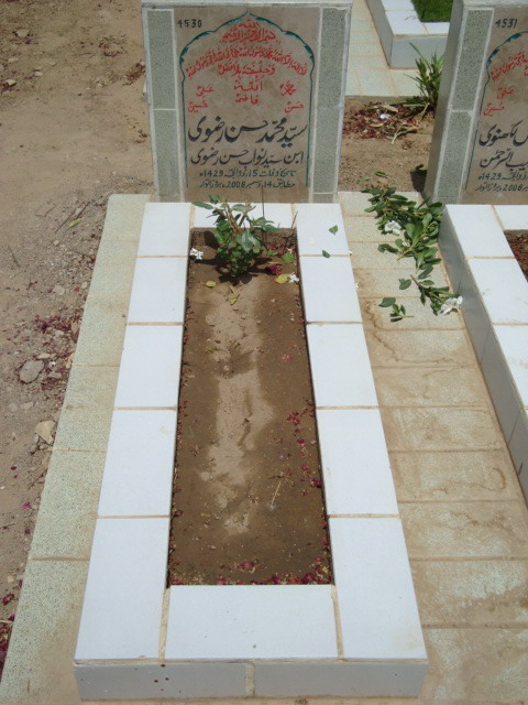 4530 – Syed Mohammad Hasan Rizvi