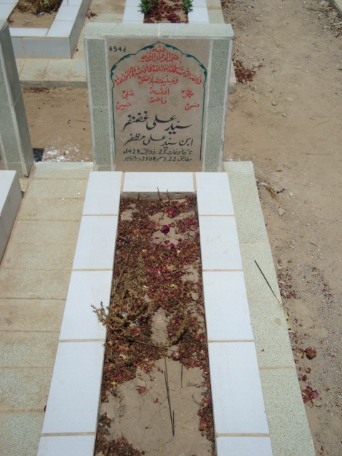 4546 – Syed Ali Ghazanfar