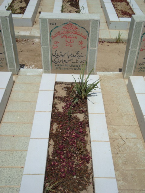 4569 – Syed Mohammad Abbas Zaidi