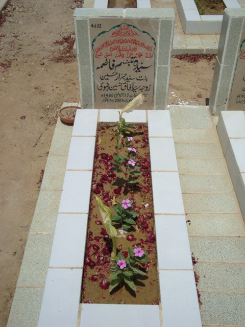 4602 – Syeda Tabasum Fatima
