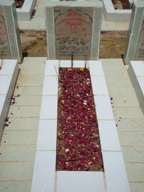 4675 – Syed Zia Hasan Naqvi