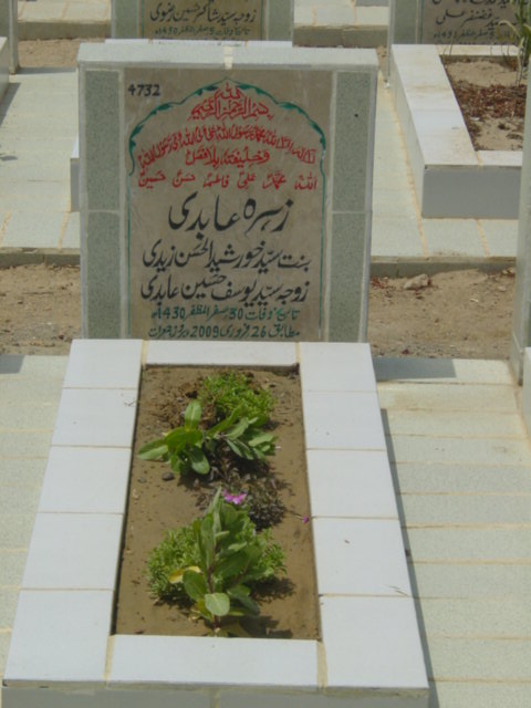 4732 – Zehra Abidi