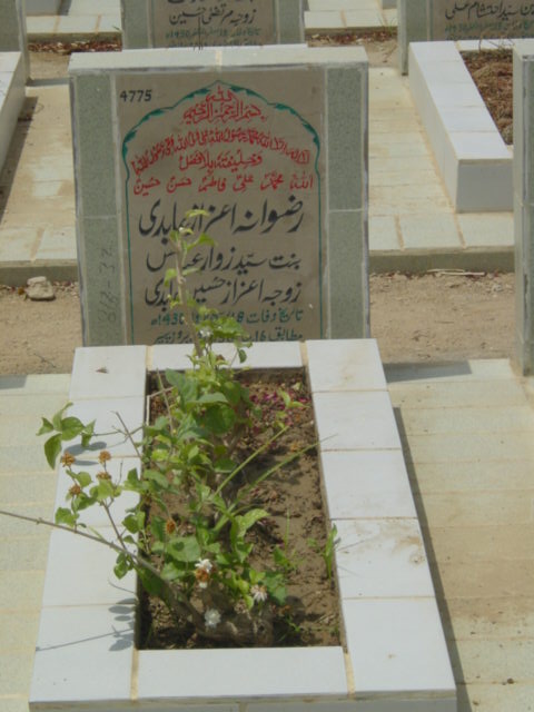 4775 – Rizwana Azra Abidi