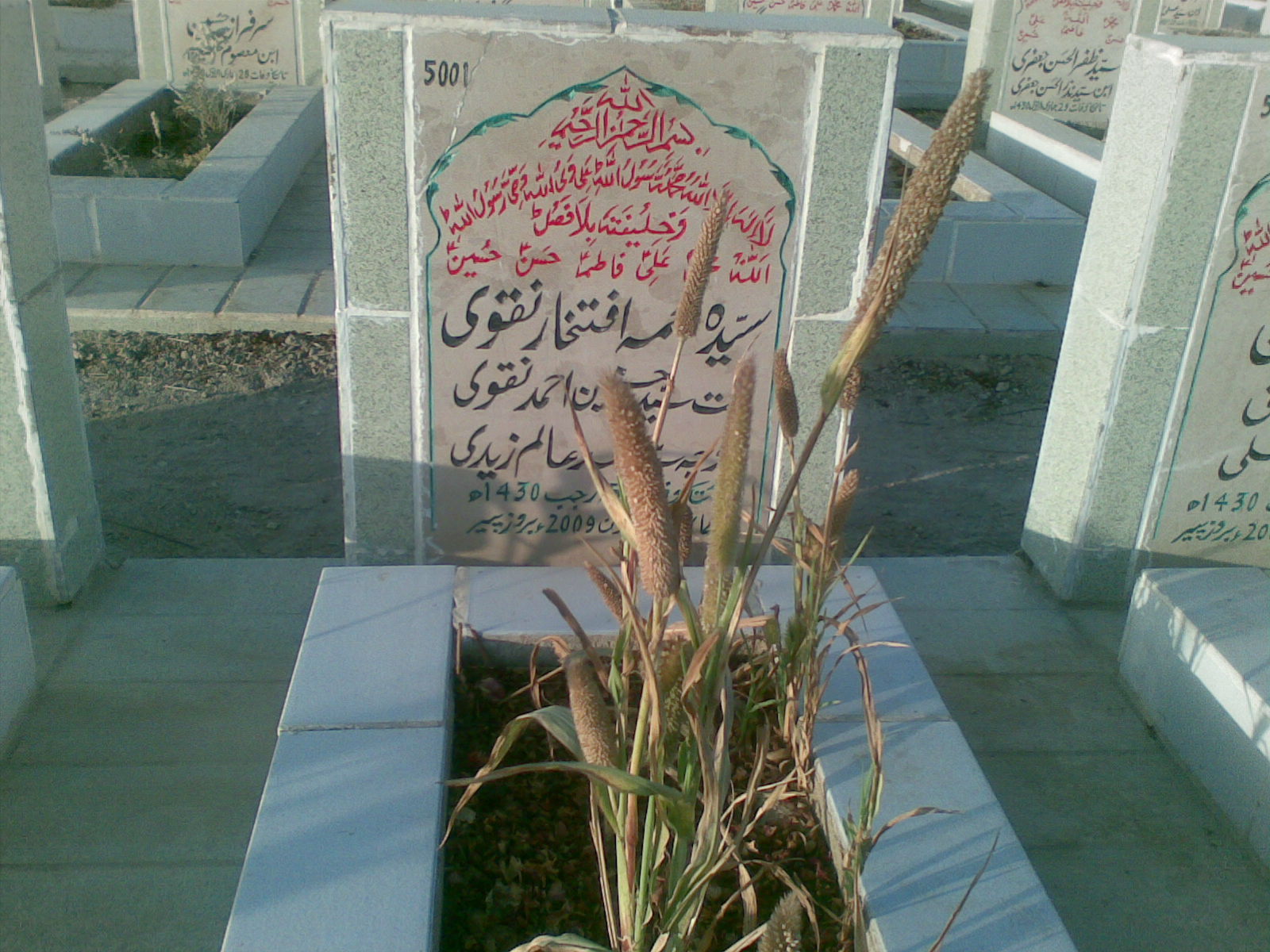 5001 – Syeda Najma Iftekhar Naqvi