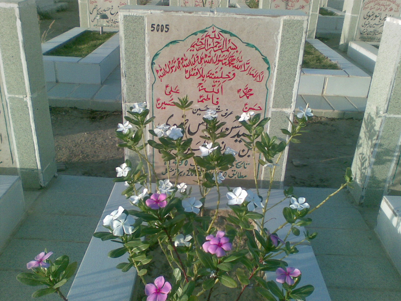 5005 – Syed Hasan Abbas Rizvi