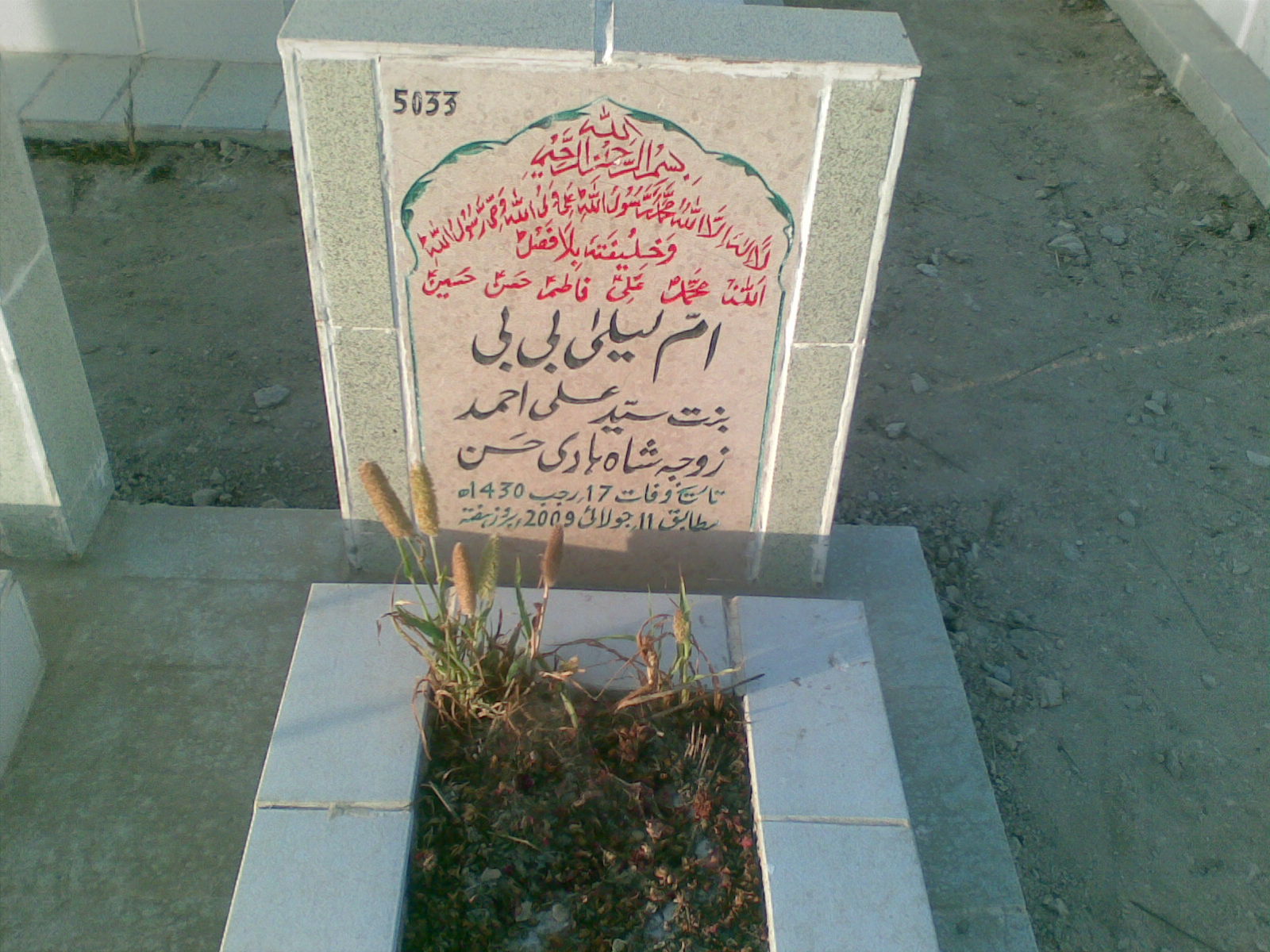 5033 – Umme Laila Bibi