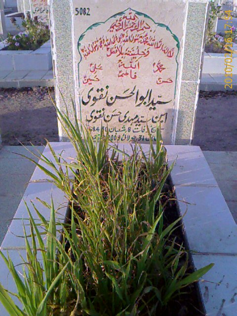 5082 – Syed Abu Hasan Naqvi