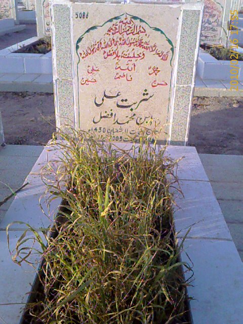5086 – Sharbat Ali