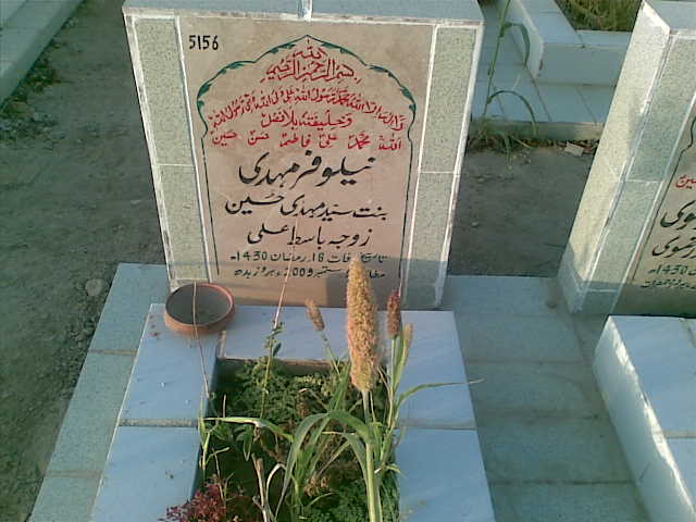 5156 – Nelofar Mehdi