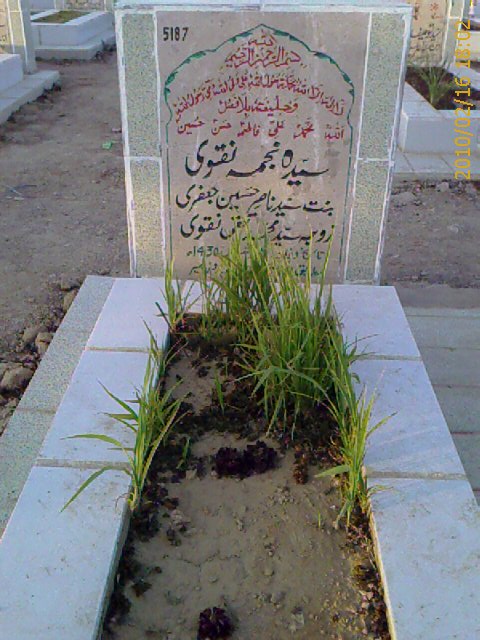 5187 – Syeda Najma Naqvi
