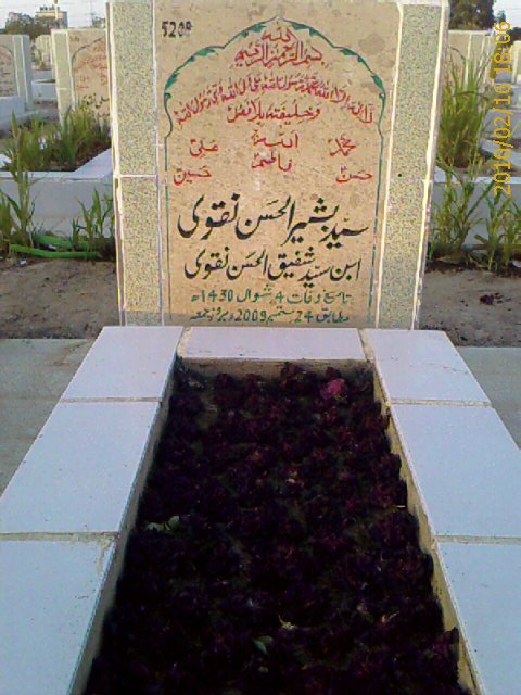 5208 – Syed Bashir ul Hasan Naqvi