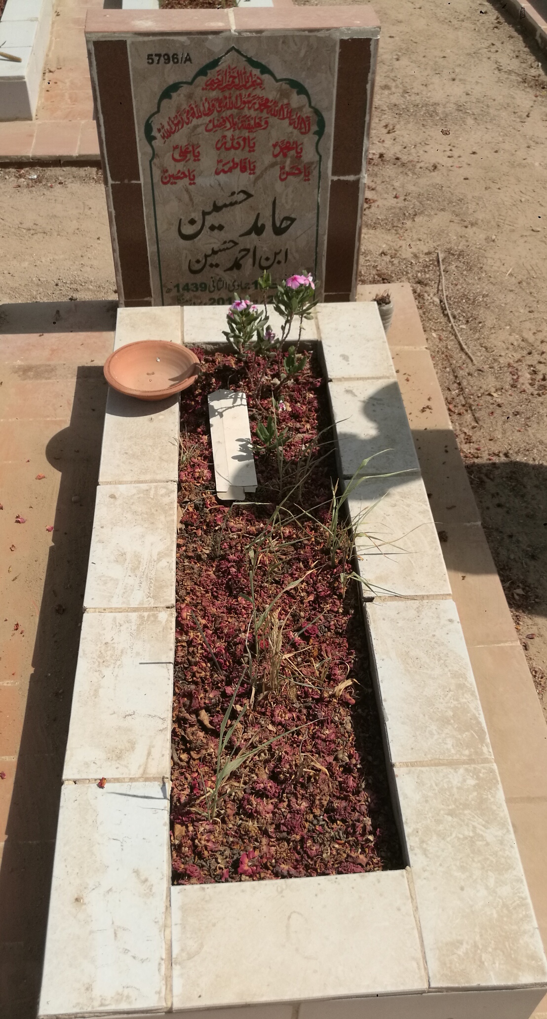 15796 – Hammid Hussain