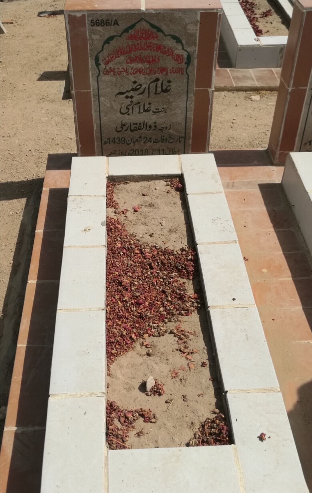 15686 – Ghulam Razia