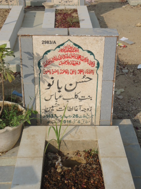 12983 – Hussan Bano