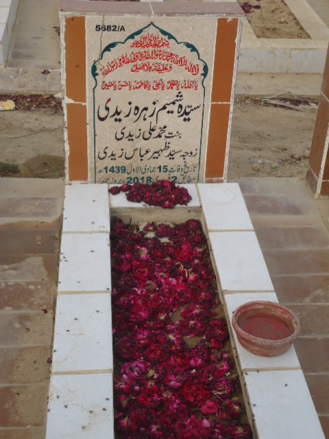 15682 – Syeda Shamim Zehra Zaidi