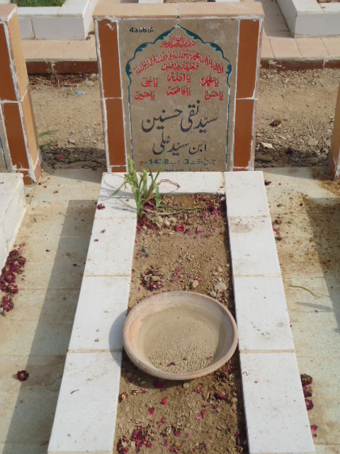 14356 – Syed Naqi Hasnain