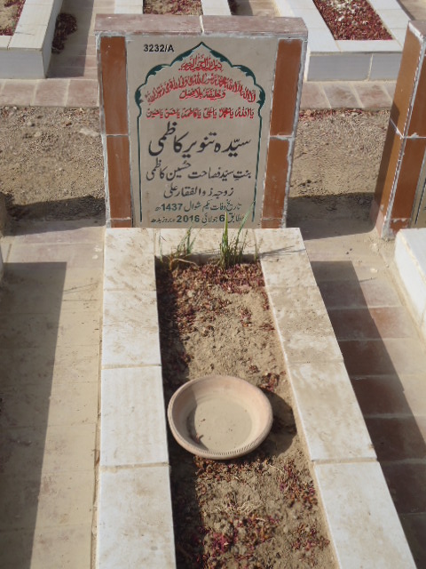 13232 – Syeda Tanveer Kazmi