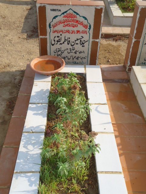 15807 – Syeda Hussain Fatima Naqvi