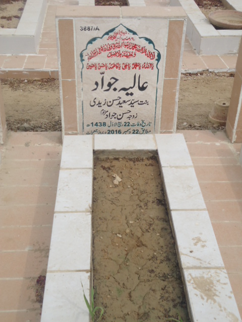 13887 – Aliya Jawwad