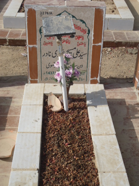 13276 – Syed Ali Mashi Rizvi Nadir