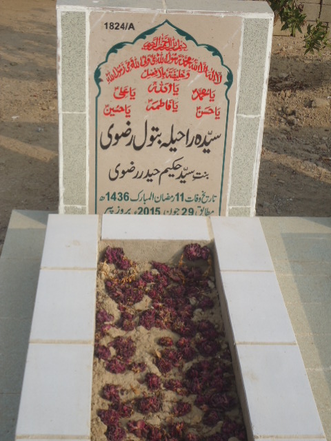 11824 – Syeda Raheela Batool Rizvi