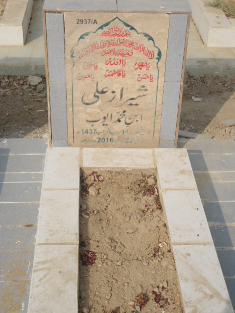 12937 – Sheraz Ali