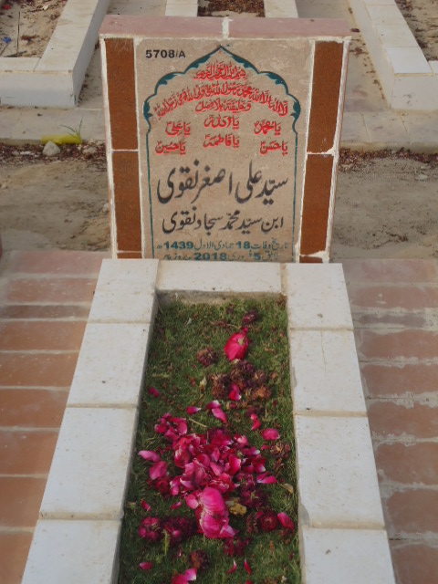 15708 – Syed Ali Asghar Naqvi